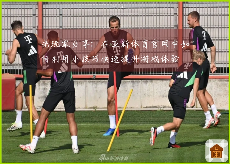 老玩家分享：在亚新体育官网中如何利用小技巧快速提升游戏体验