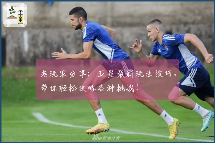 老玩家分享：亚星最新玩法技巧，带你轻松攻略各种挑战！