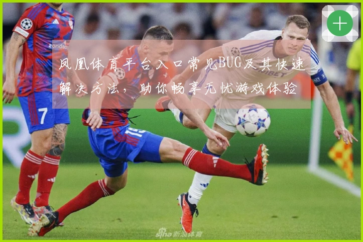凤凰体育平台入口常见BUG及其快速解决方法，助你畅享无忧游戏体验